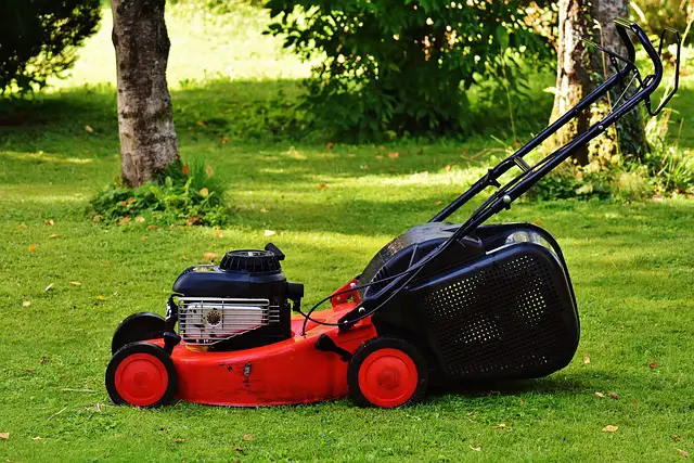 best lawn mower